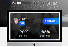 最新RIPRO主题美化-用户信息展示小工具美化