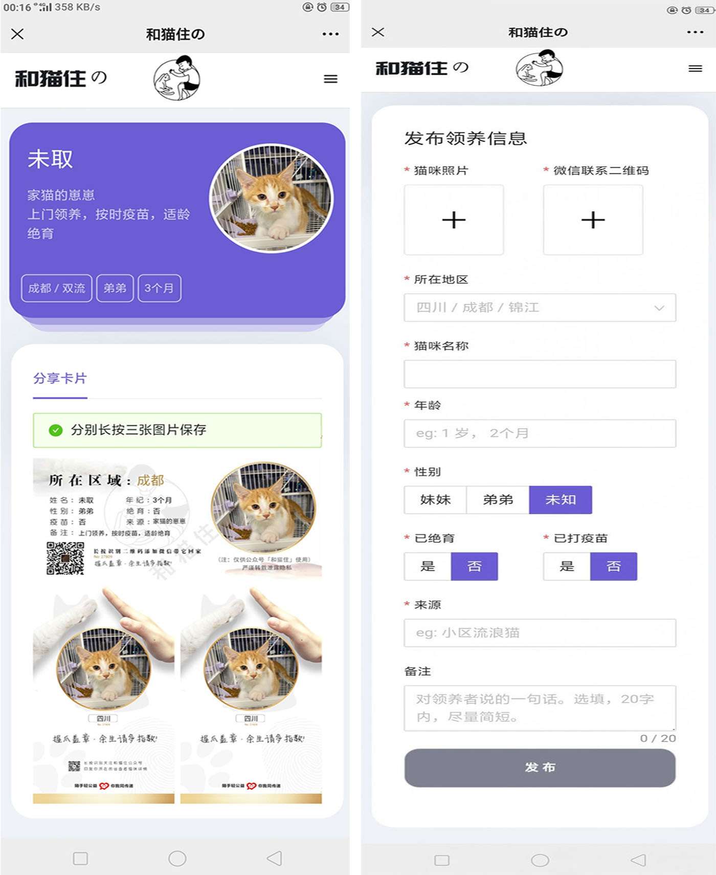流浪猫流浪狗领养源码下载