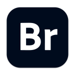 Adobe Bridge 2024 v14.1.2.300 Br创意资产管理工具Win版