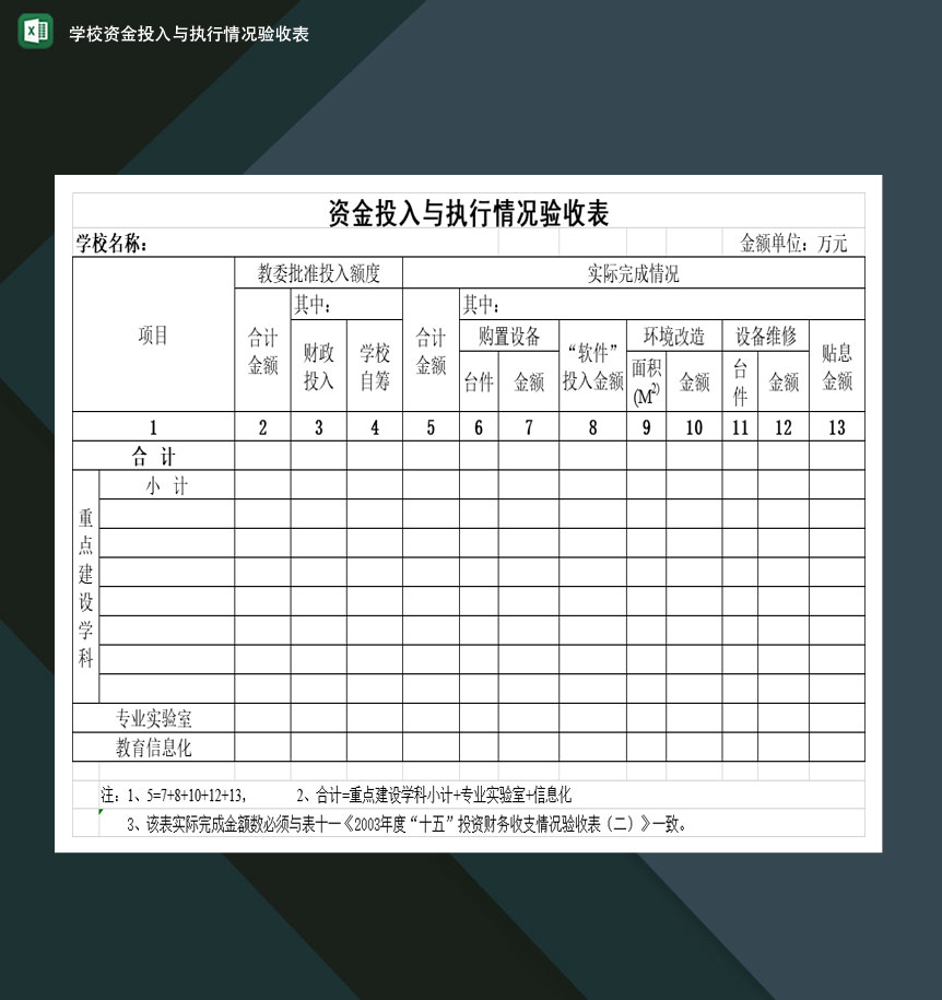 重点高等学校资金投入与执行情况验收表Excel模板