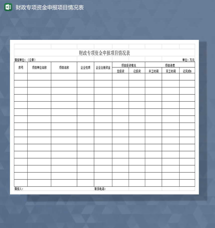 财政专项资金申报项目情况表Excel模板