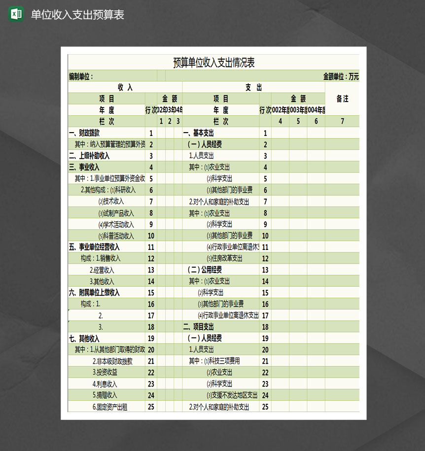 预算单位收入支出情况表Excel模板