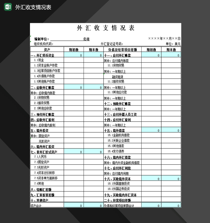 企业公司外汇收支情况记录表Excel模板