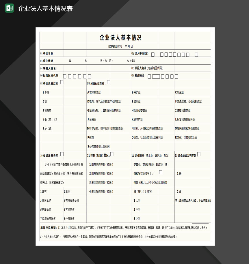 企业法人基本情况表Excel模板