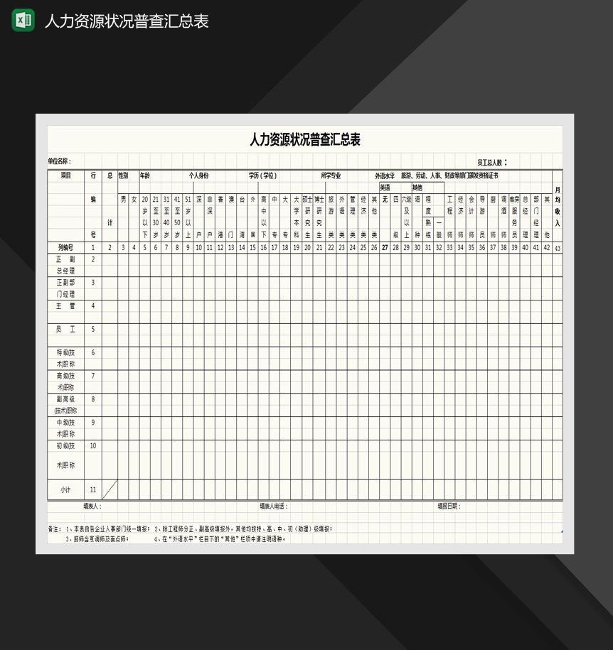 人力资源状况普查汇总表Excel模板