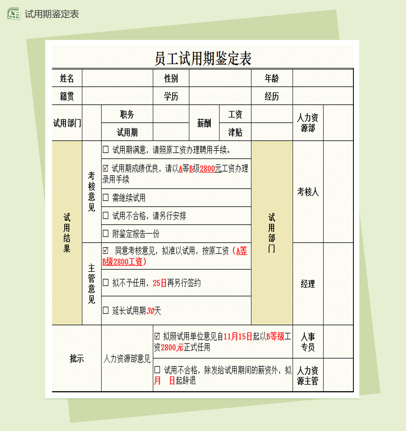 人员试用期鉴定表Excel模板