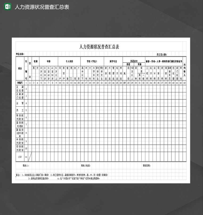 人力资源公司员工状况普查汇总表Excel模板