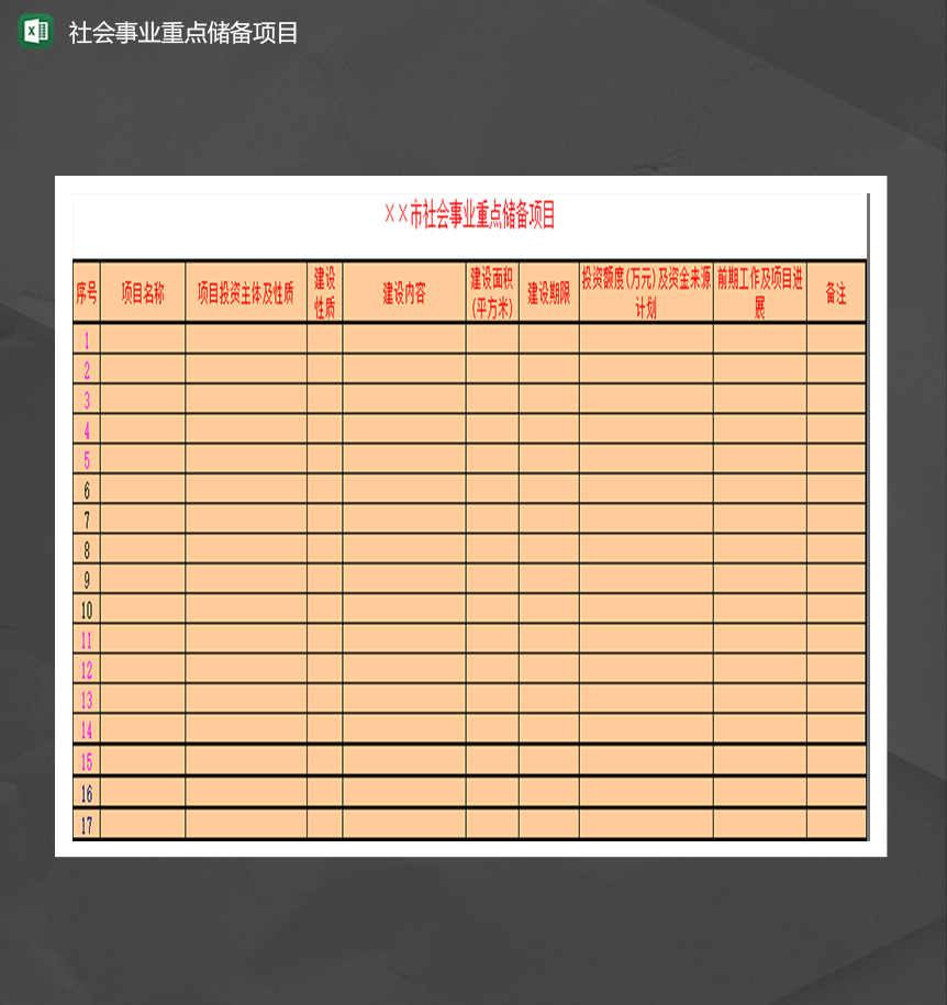 社会事业重点储备项目详情表Excel模板