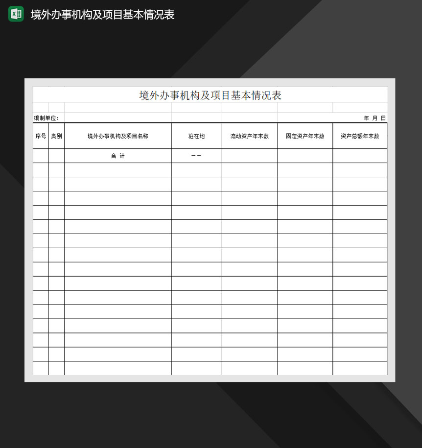 境外办事机构及项目基本情况表Excel模板