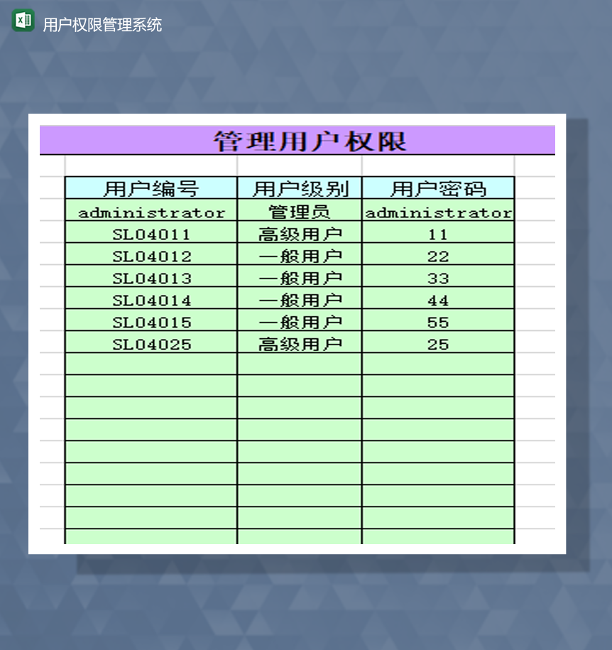 用户权限管理系统说明明细表Excel模板