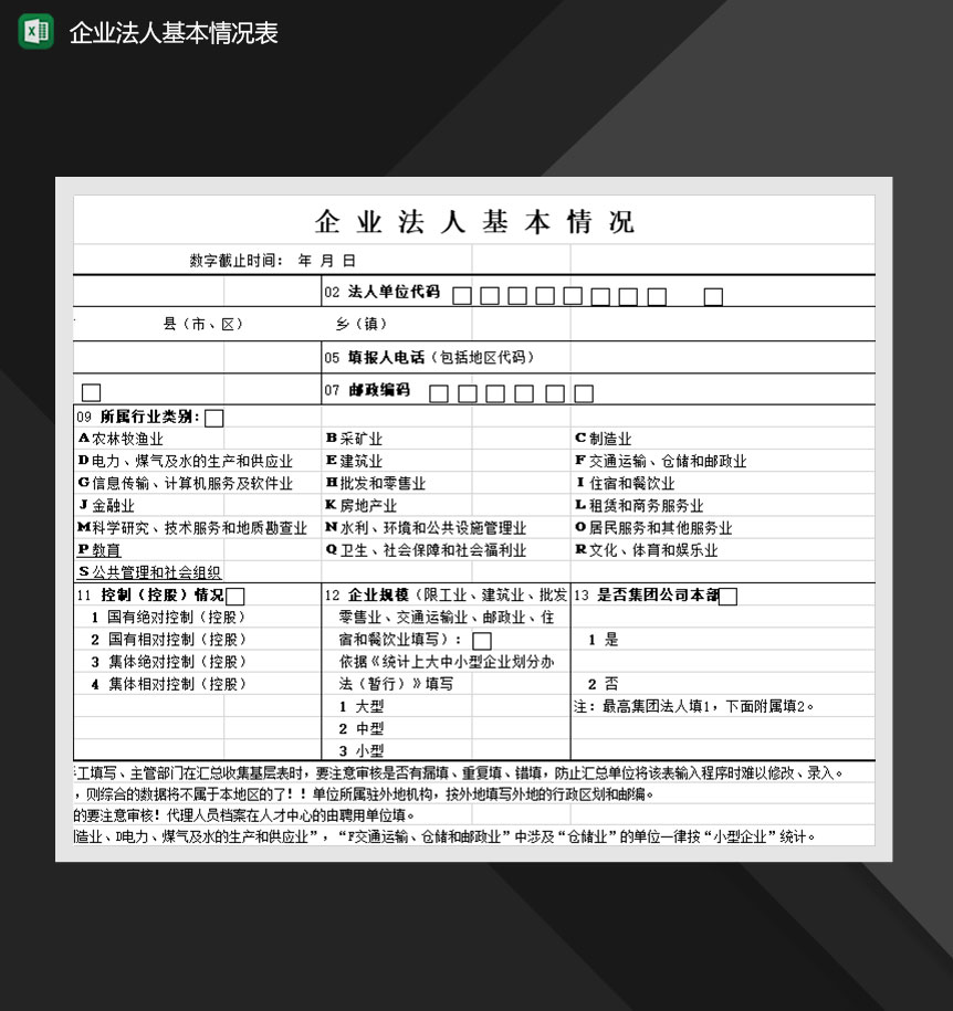 企业法人基本情况表Excel模板