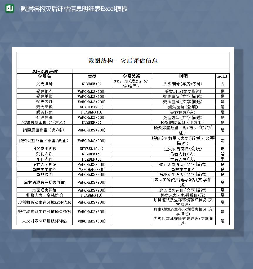 数据结构灾后评估信息明细表Excel模板