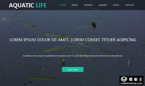 水族生活馆响应式网站模板