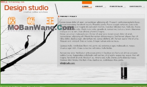 欧美动物世界网站模板