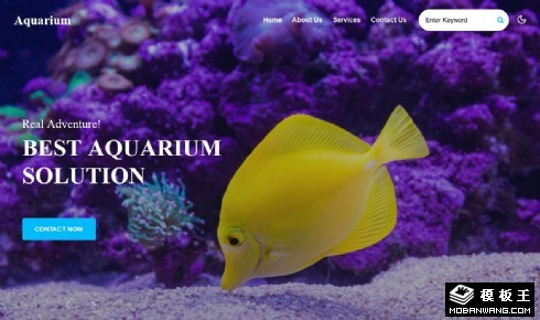 水族馆观赏鱼介绍响应式网页模板