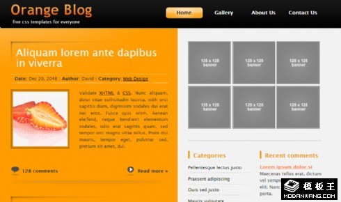 橙色二列BLOG网页模板