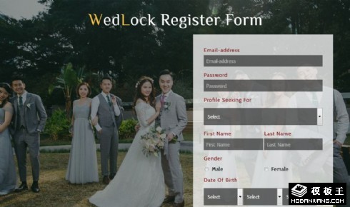 婚姻记录表单网页模板