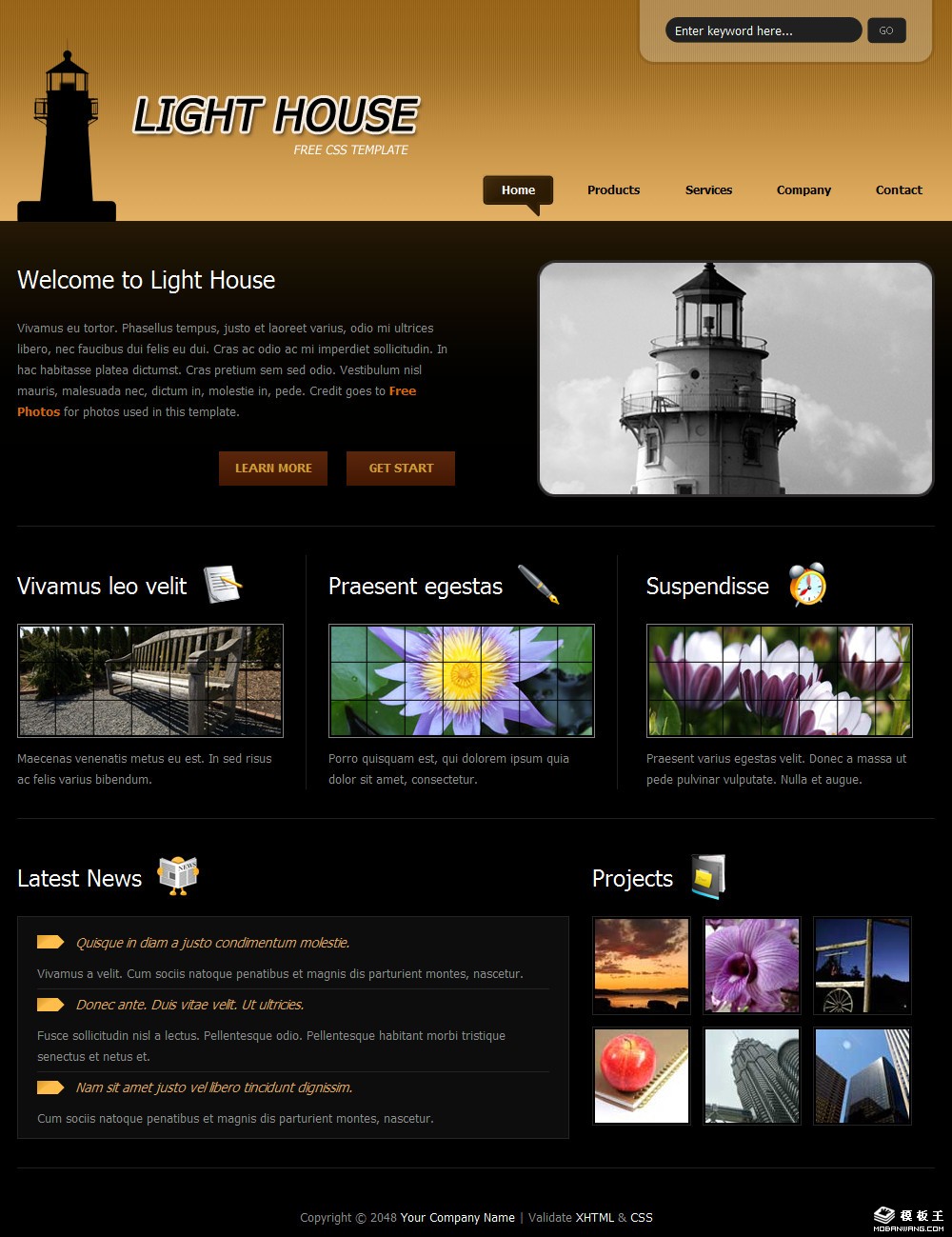 灯塔产品信息网页模板