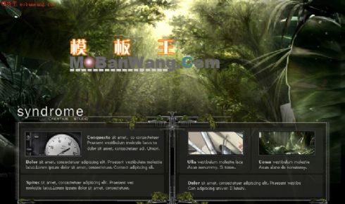 欧美个性模版