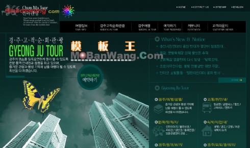 韩国深绿色房地产公司网站模板