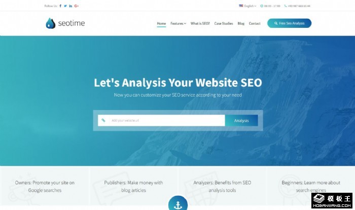 SEO分析工具网页模板