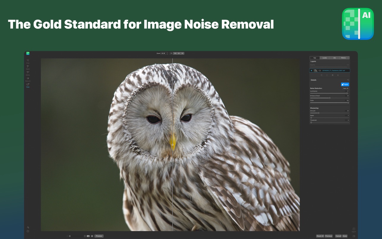 ON1 NoNoise AI 2024.5 For Mac v18.5.1.15726 智能图像降噪软件中文版