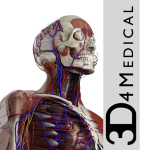 Essential Anatomy 5 For Mac v5.0.5 人体模型基本解剖