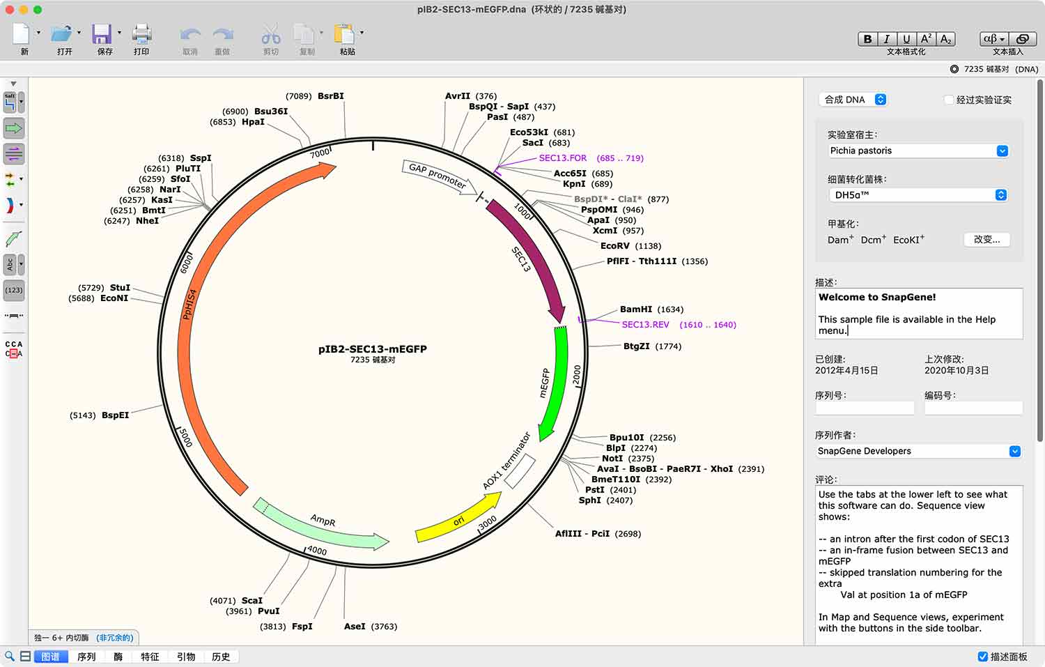 SnapGene For Mac v5.3.1 DNA序列生物分析