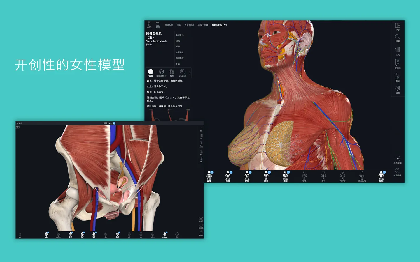 Complete Anatomy For Mac v11.0.0 3D人体解剖平台