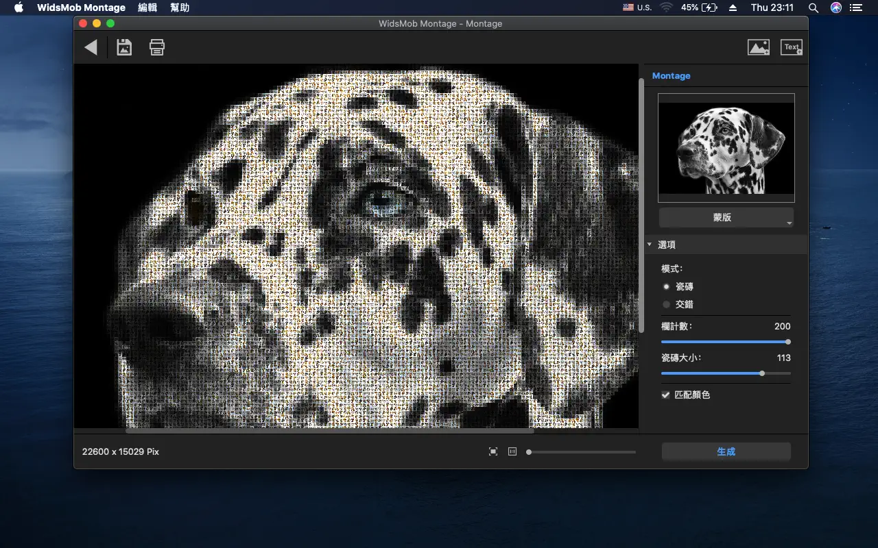 WidsMob Montage For Mac v3.26 马赛克照片拼贴制作软件