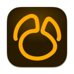 Navicat for SQL Server For Mac v17.1.9 数据库管理工具
