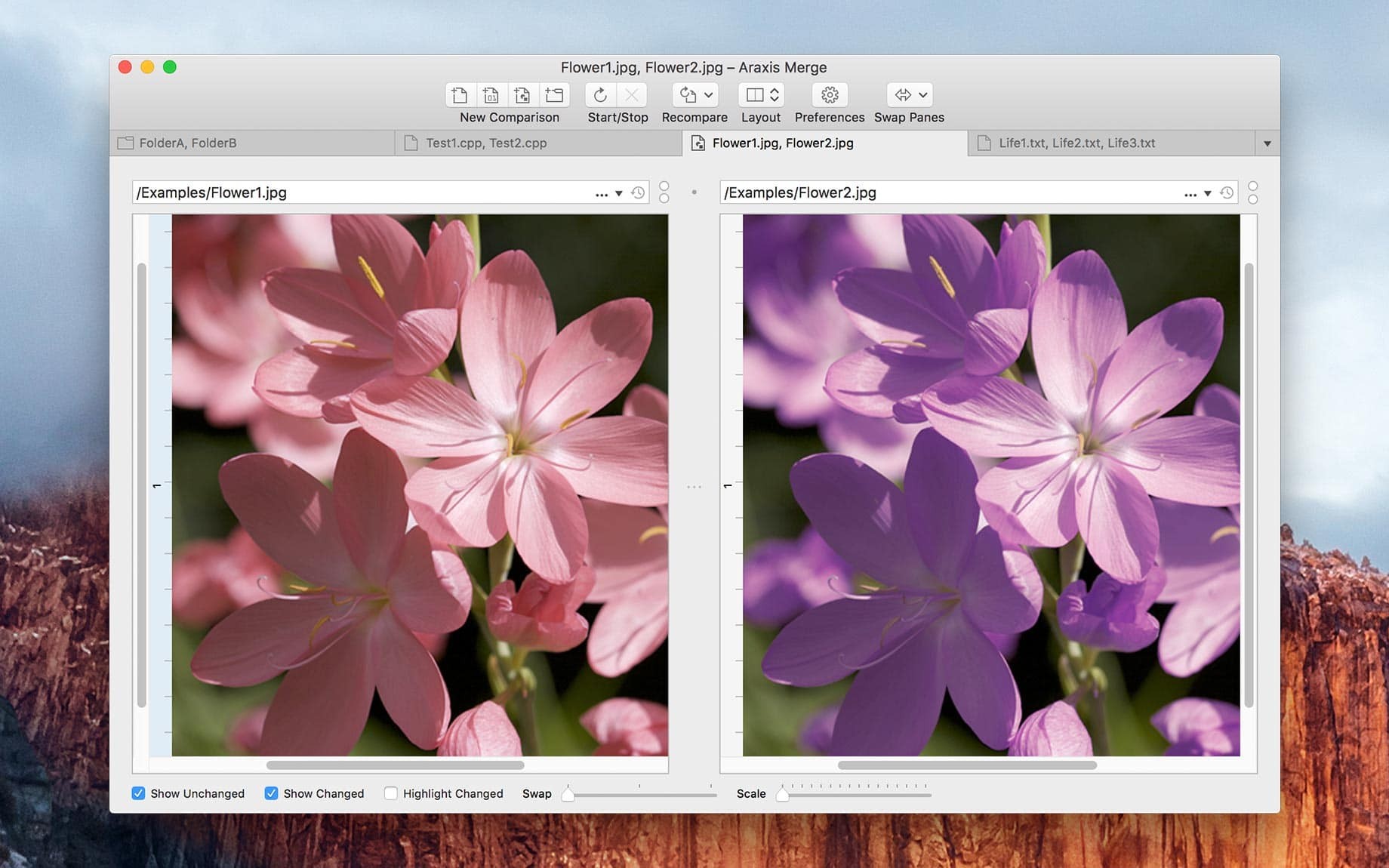 Araxis Merge Pro For Mac v2024.6001 文件比较合并软件