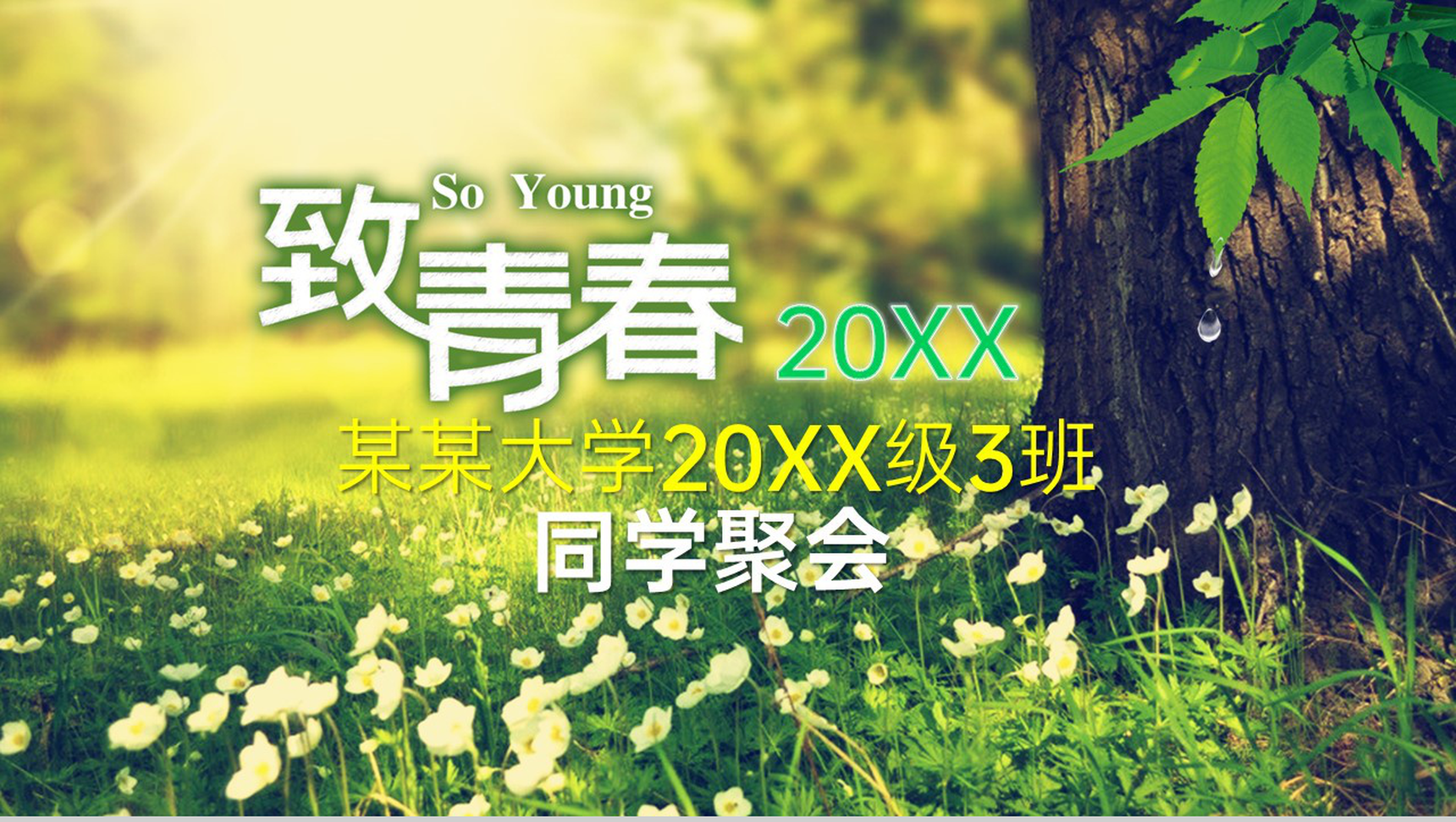 绿色精致风同学聚会校园回忆电子纪念相册PPT模板-1