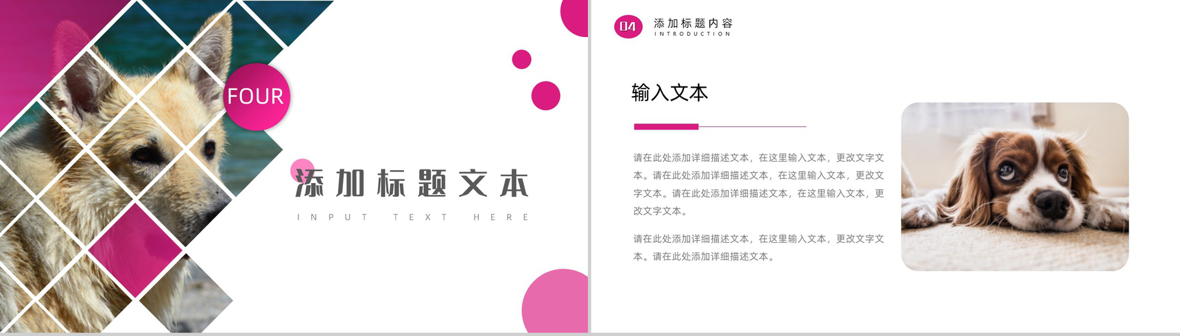 萌宠小动物主题风格PPT模板-8