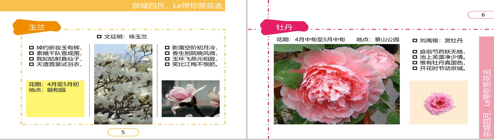 四月繁华开放精美PPT模板-4