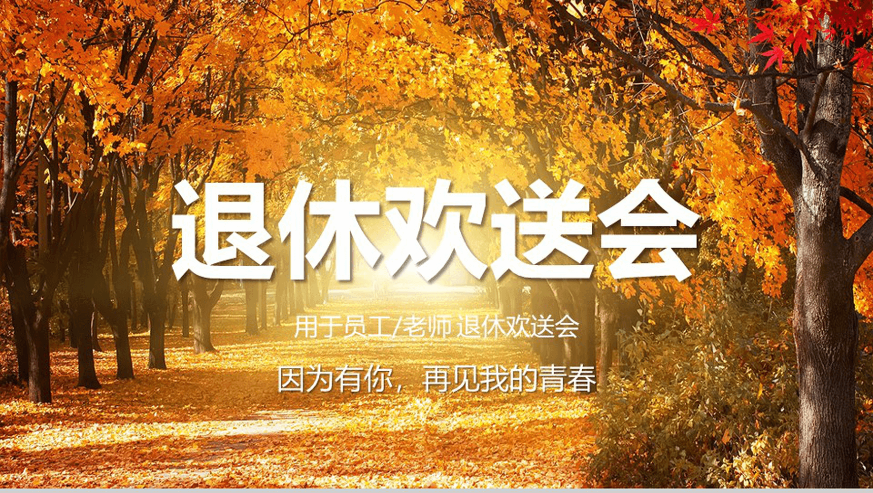 员工老师退休欢送会电子相册PPT模板