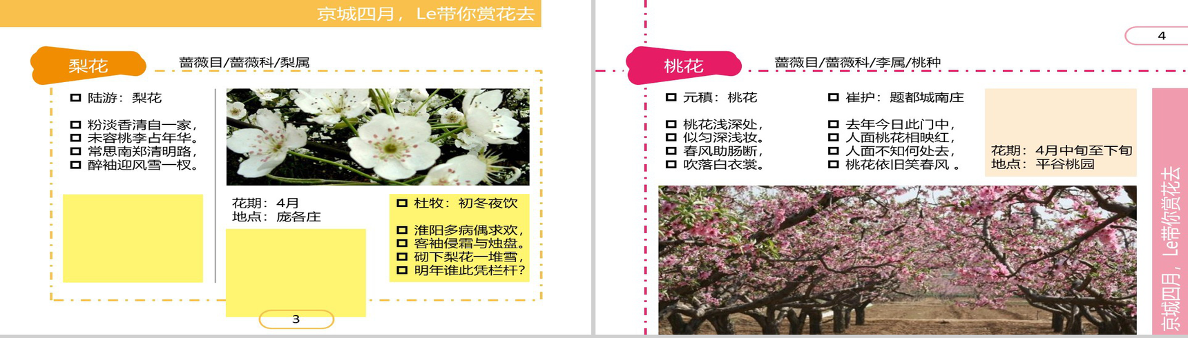 四月繁华开放精美PPT模板-3
