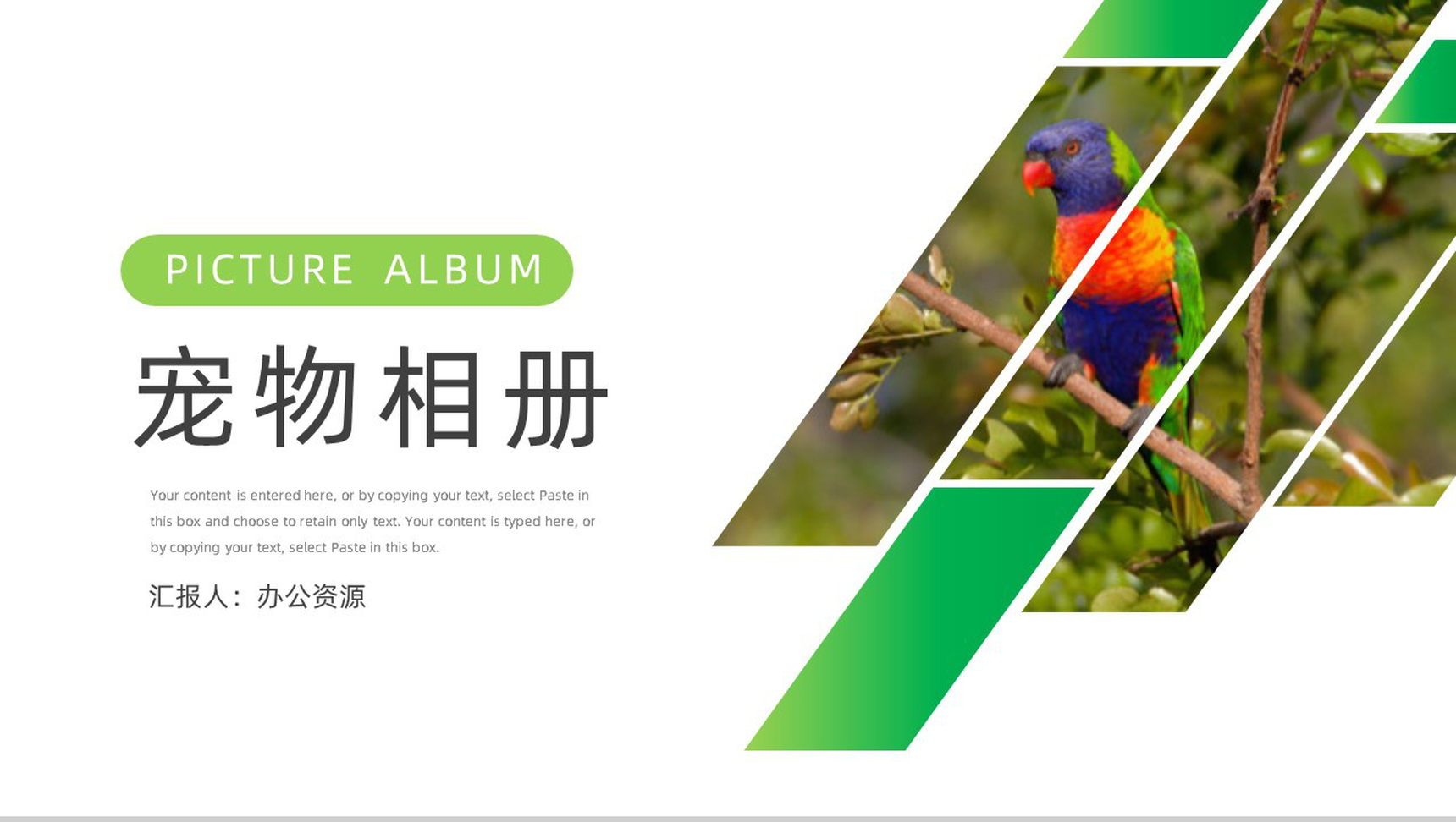 创意可爱卡通宠物相册PPT模板-1