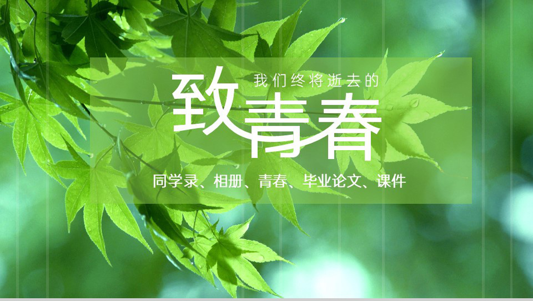 绿色清新唯美毕业季致青春同学纪念相册PPT模板