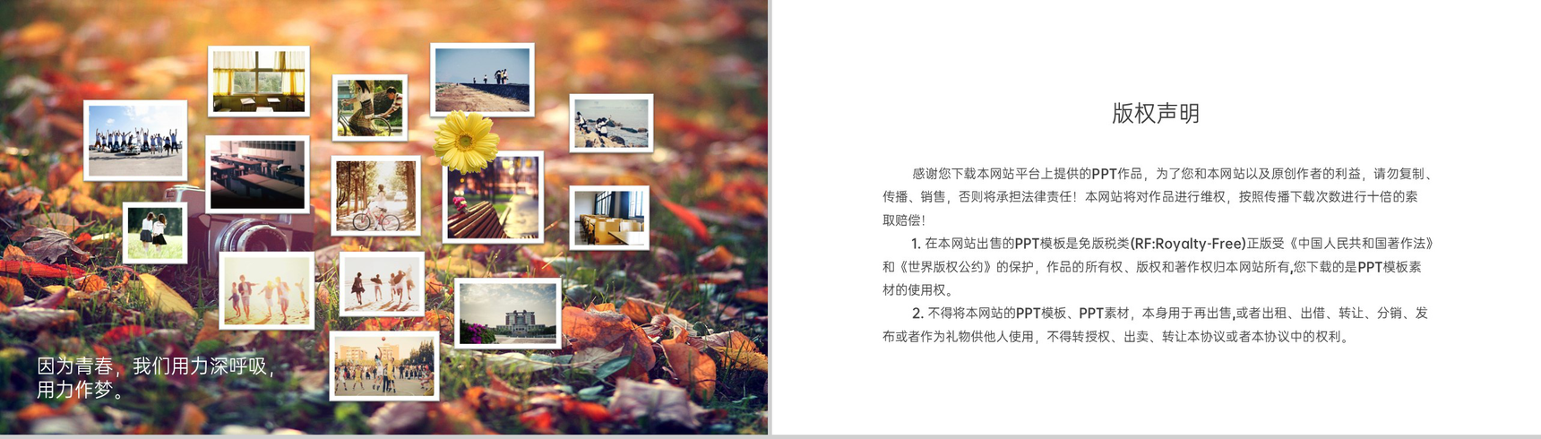 黄色唯美那些年我们一起走过的岁月毕业纪念册PPT模板-11