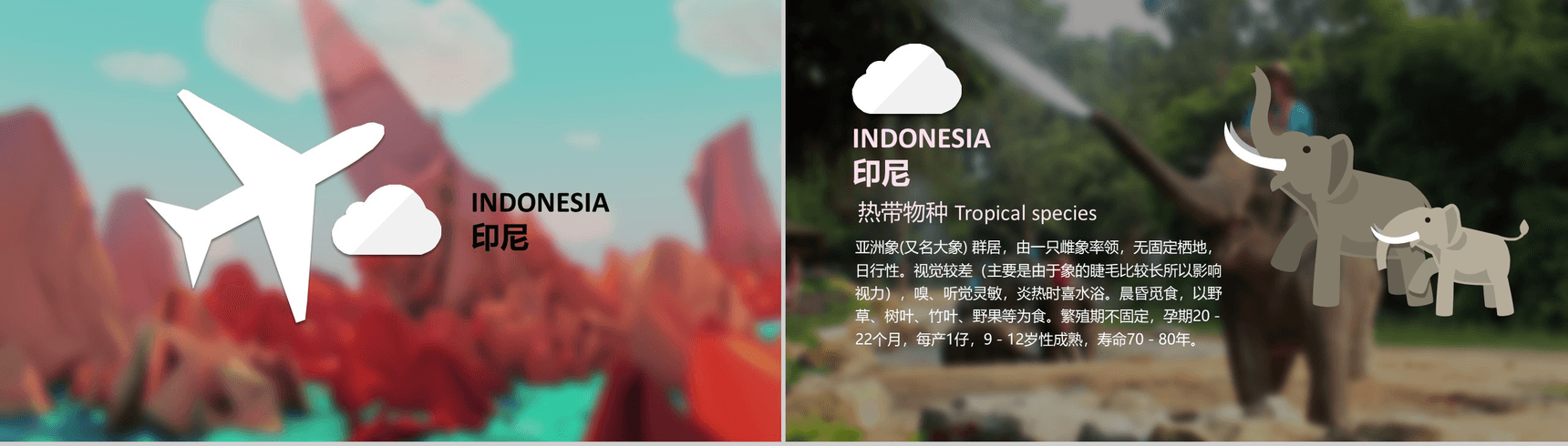 简约东南亚旅行旅游景点介绍宣传PPT模板-6