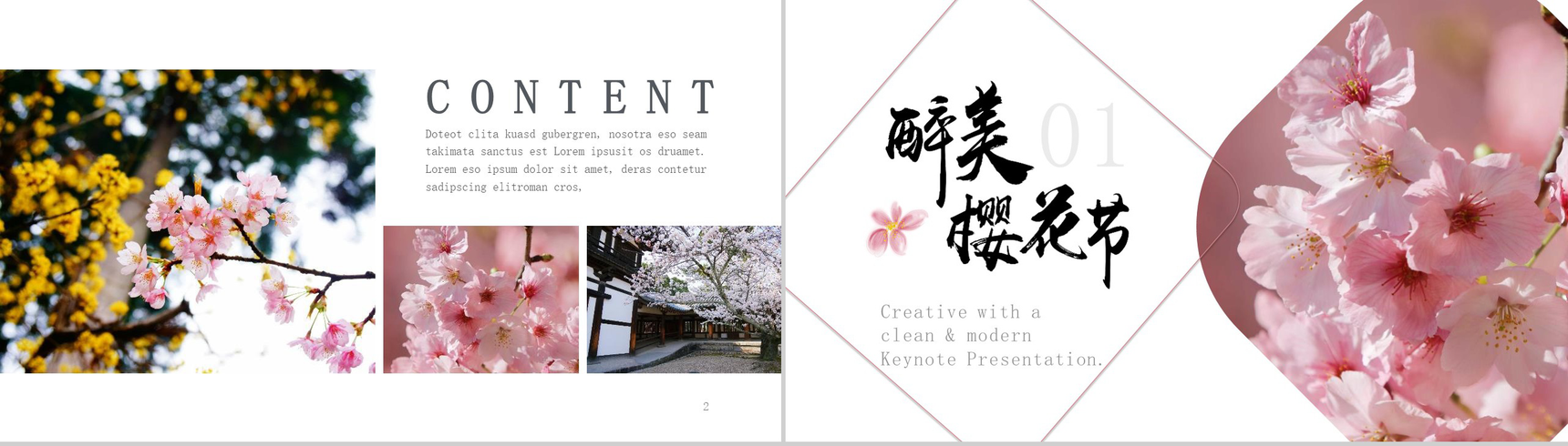 醉美樱花节旅游画册樱花节PPT模板-2