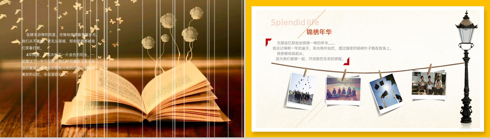 黄色简约风致青春大学生毕业纪念册PPT模板-3