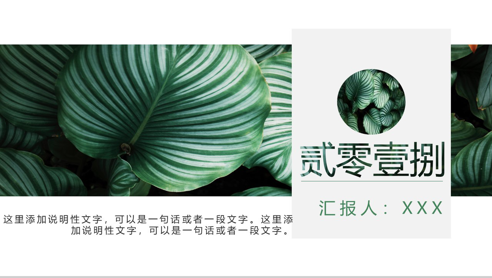 2020绿叶森系文艺工作总结PPT模板