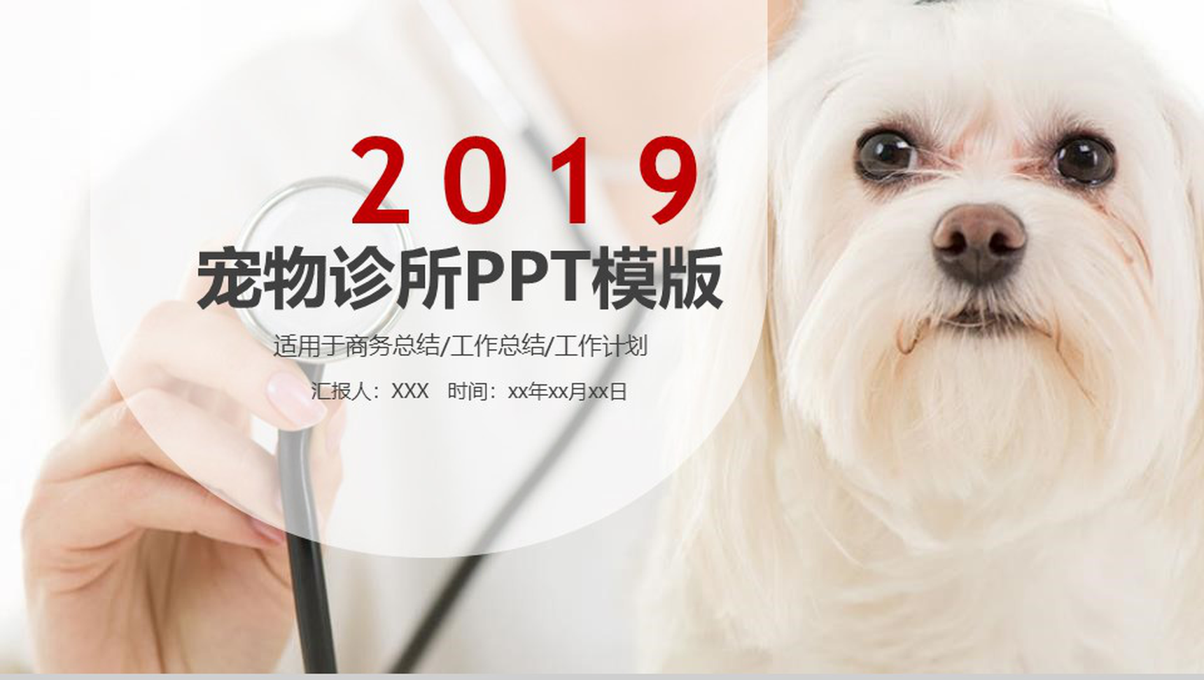宠物诊所工作总结商务报告PPT模版