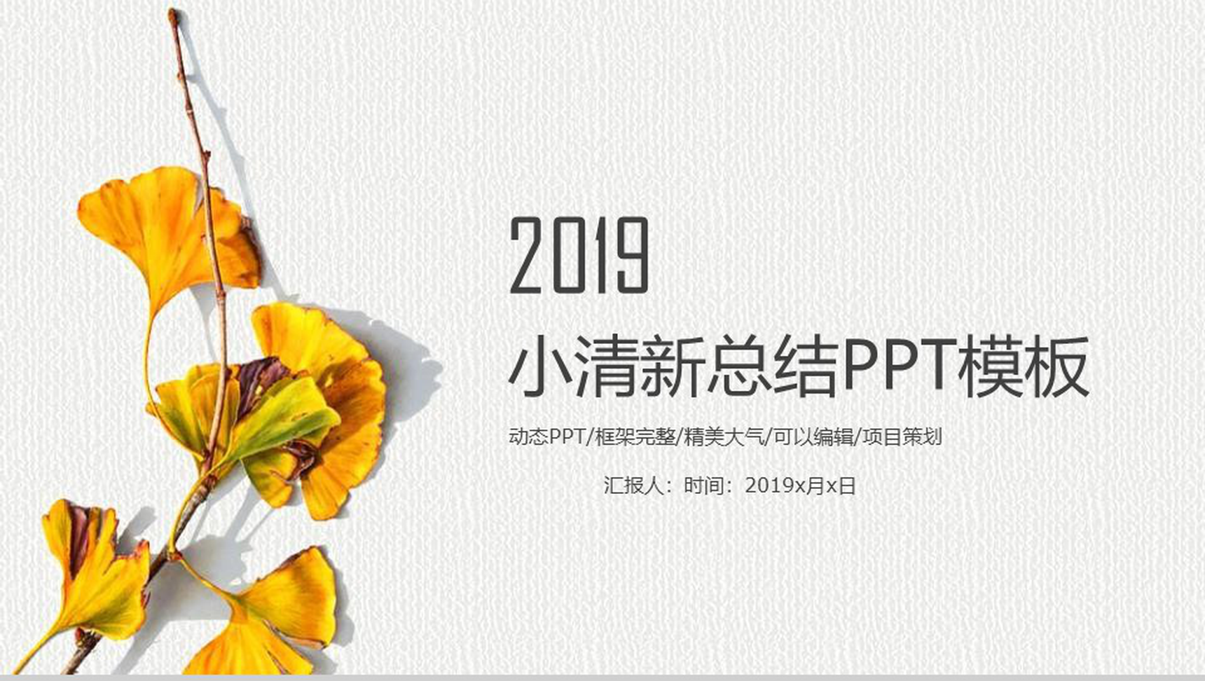 2019小清新总结工作报告PPT模板-1