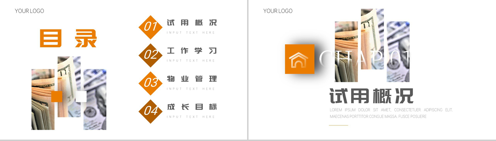 白色简约财务管理转正申请PPT模板-2