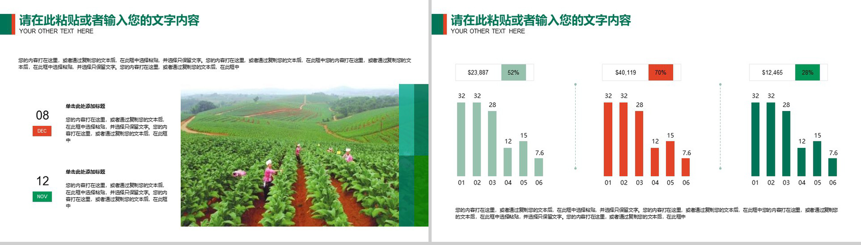 中国烟草局工作总结汇报PPT模板-6