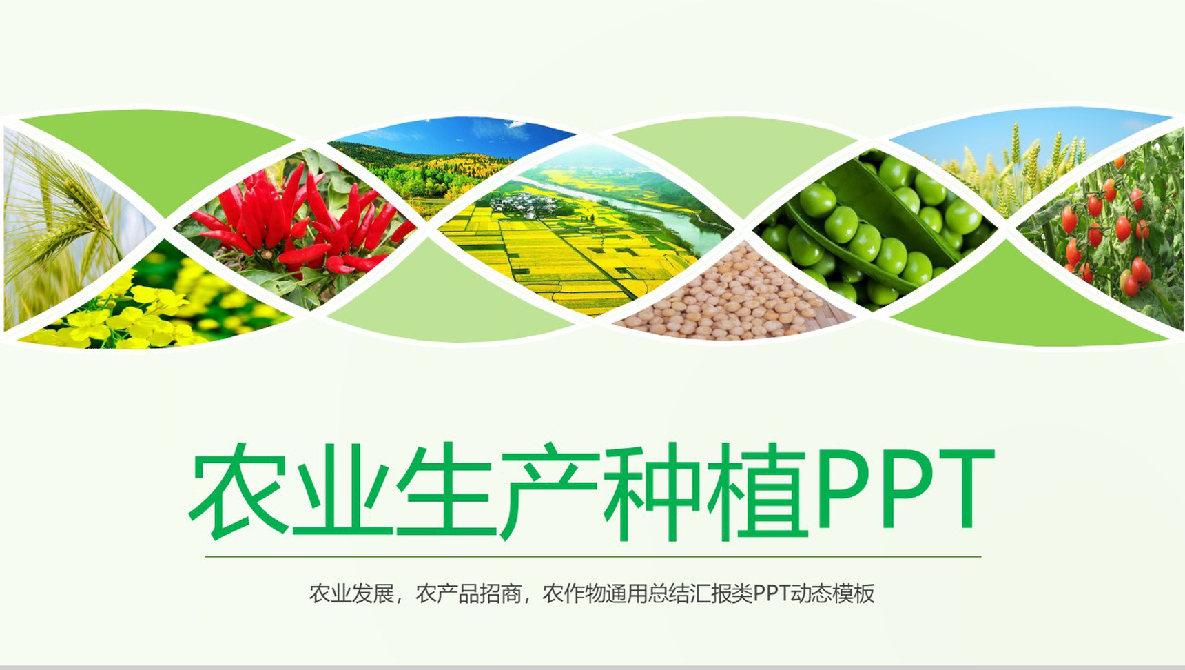 扁平化绿色健康饮食农业生产种植PPT模板