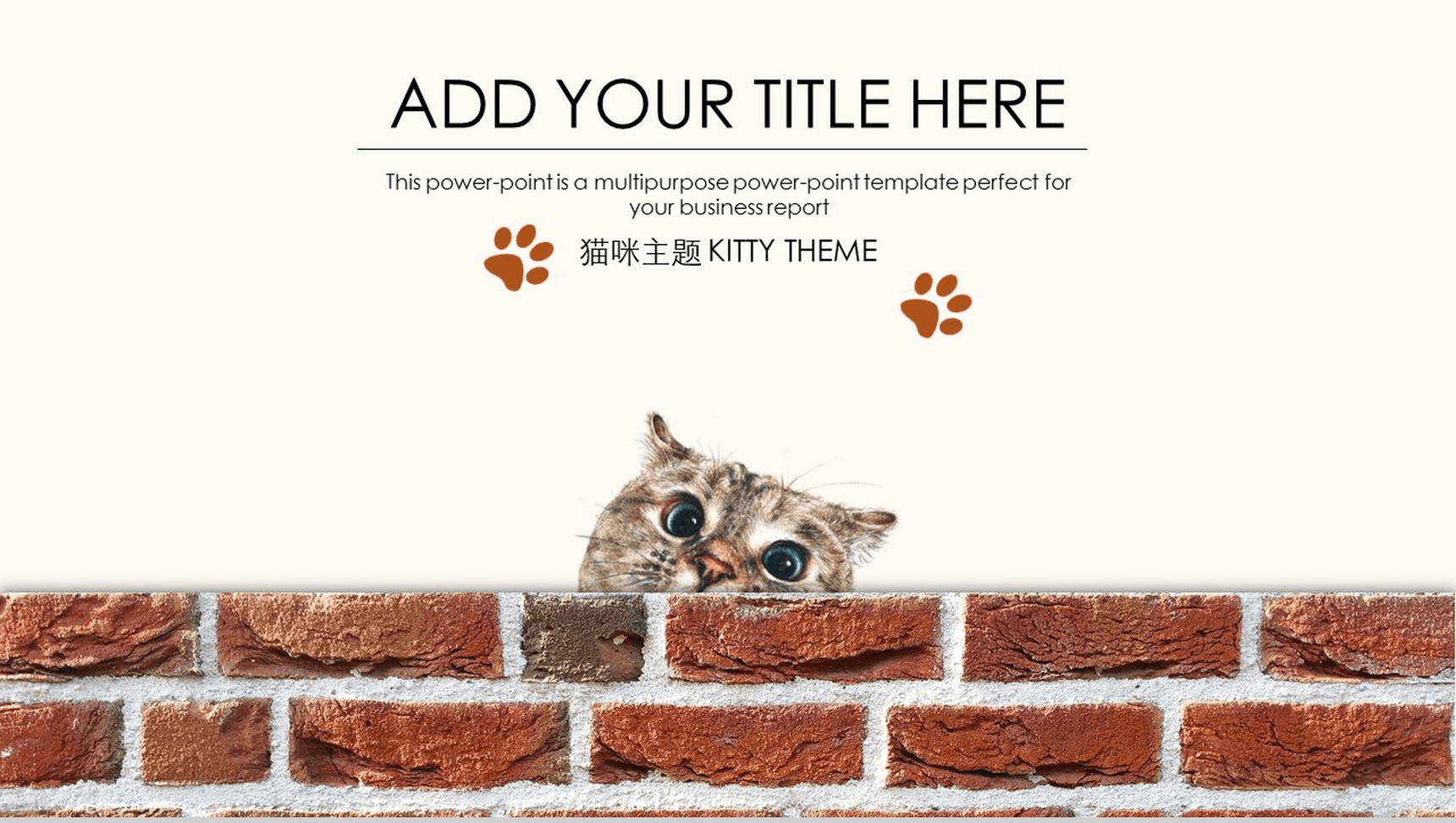 简约创意猫咪主题商业计划书PPT模板-1